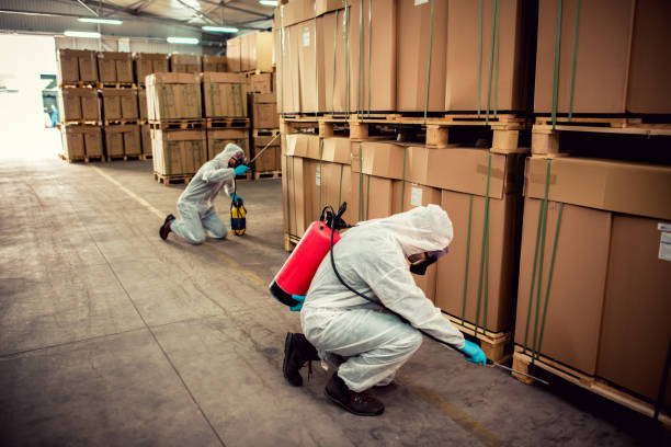 Best Emergency Pest Control  in Green, OR