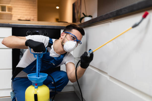 Best Cockroach Control Services  in Green, OR