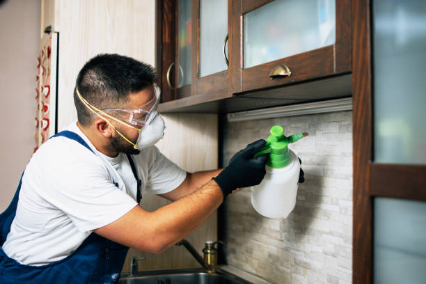 Best Affordable Pest Control Services  in Green, OR