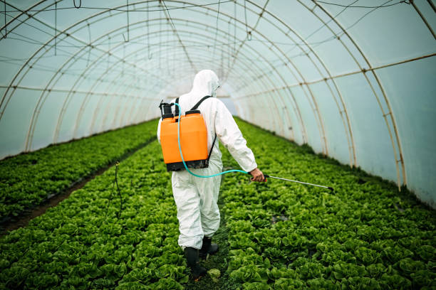 Best Pest Control for Businesses  in Green, OR