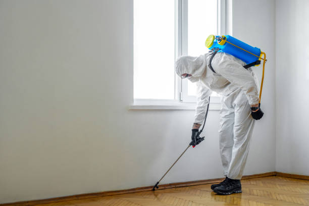 Best Pest Removal Services  in Green, OR