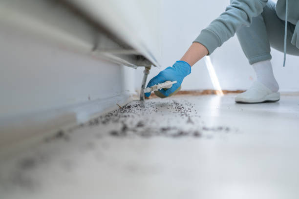 Trusted Green, OR Pest Control Experts